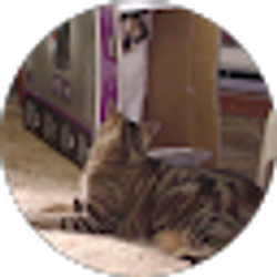 Profile photo of Leilani Johnston