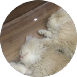 Profile photo of Noor Ul Eman