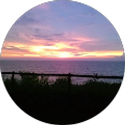 Profile photo of Denise Donahue