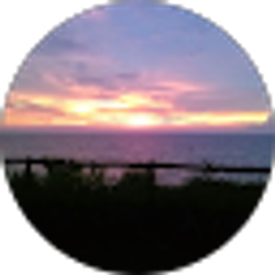 Profile photo of Denise Donahue