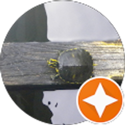 Profile photo of Rachel McCain