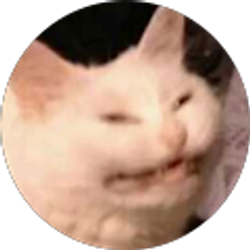 Profile photo of s h y