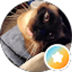 Profile photo of Anna D.