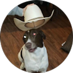 Profile photo of Kaitlyn Williams