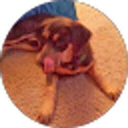 Profile photo of Mr_Lawlis _6336