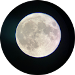 Profile photo of Ayden Harryman