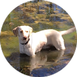 Profile photo of Hunter Darling