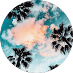 Profile photo of ebony johnsxn