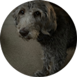 Profile photo of Donna Ogorzalek