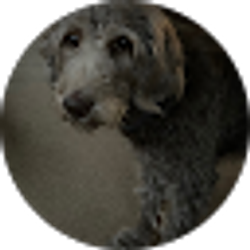 Profile photo of Donna Ogorzalek