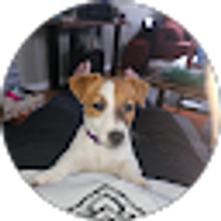 Profile photo of Suzy Boyer