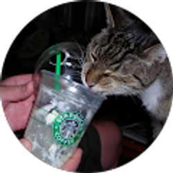 Profile photo of janis white