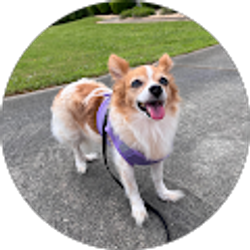 Profile photo of Cochran킴벌리