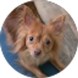 Profile photo of Shannon