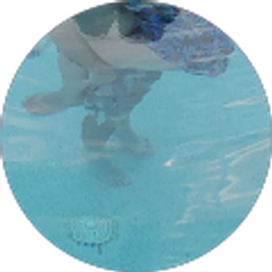 Profile photo of Tina Finley