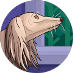 Profile photo of Solomon Mengistu