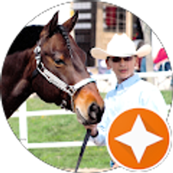 Profile photo of Noah Ballard (Fonzi)