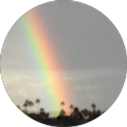 Profile photo of Alex Morales