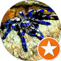 Profile photo of josh cook