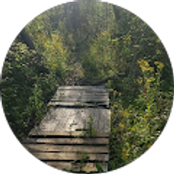 Profile photo of Lunaclipse