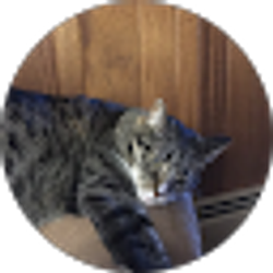 Profile photo of steven sparks