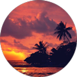 Profile photo of Anna D