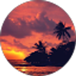 Profile photo of Anna D