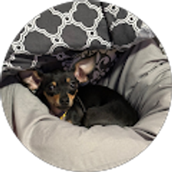 Profile photo of Cassy Jones