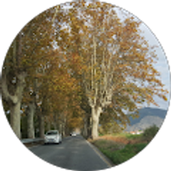 Profile photo of Kathy Bradley