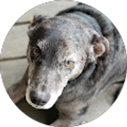 Profile photo of Lucy Bryant