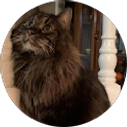 Profile photo of Kelly Weekley