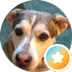 Profile photo of Hank Sharp