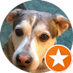 Profile photo of Hank Sharp