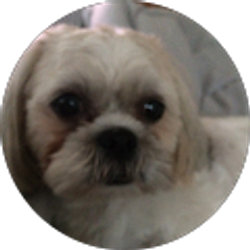 Profile photo of Shalonda Waithe