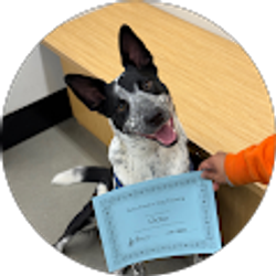 Profile photo of Jasmine Reese