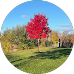 Profile photo of George Wenner