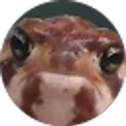 Profile photo of Rowan MacLachlan