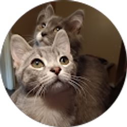 Profile photo of Tracy Campbell