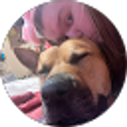 Profile photo of Allie Bryant