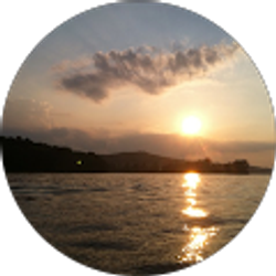 Profile photo of T M