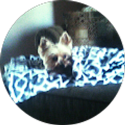 Profile photo of debra ulberg