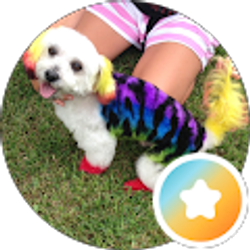Profile photo of Brandi (FurdeLeash)