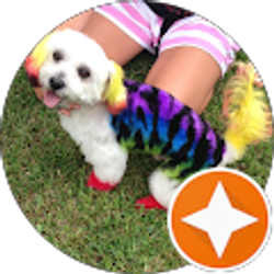 Profile photo of Brandi Cooper (FurdeLeash)