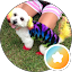 Profile photo of Brandi (FurdeLeash)