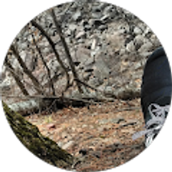 Profile photo of bignib 101