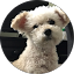 Profile photo of Rhonda Junod