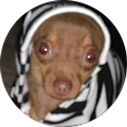 Profile photo of Brianna Rubio