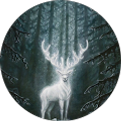 Profile photo of Jenn Revaz