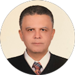 Profile photo of Ramin Espandar