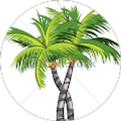 Profile photo of George Orellana